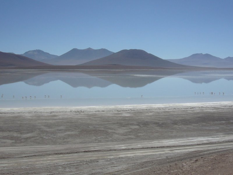 Travel - Bolivia - Salar De Uyuni - Laguna 5
